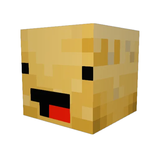 SuprRooster Minecraft avatar head, 3D render