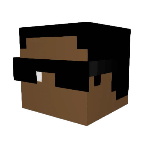 SuprTryHardNinj Minecraft avatar head, 3D render