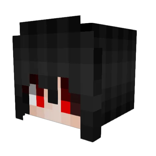 SupraSwitch Minecraft avatar head, 3D render