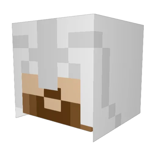 Supraplay Minecraft avatar head, 3D render