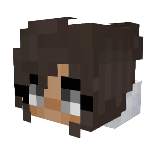 Supreme09 Minecraft avatar head, 3D render