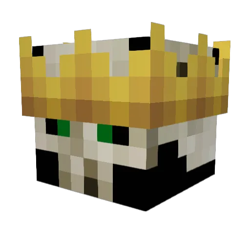Supreme12 Minecraft avatar head, 3D render