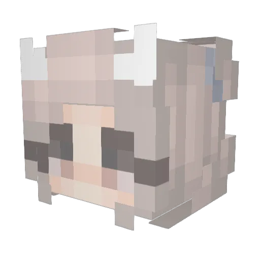 SupremeBV Minecraft avatar head, 3D render