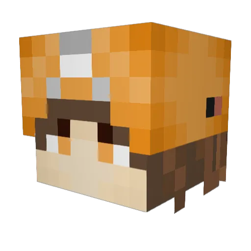 SupremeEntity11 Minecraft avatar head, 3D render