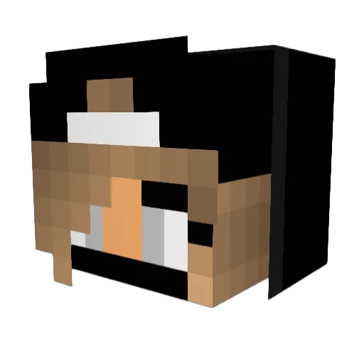 SupremeGirlMC Minecraft avatar head, 3D render