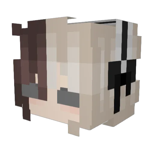 SupremeGodess Minecraft avatar head, 3D render