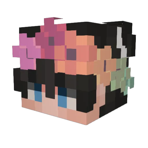SupremeNixy Minecraft avatar head, 3D render