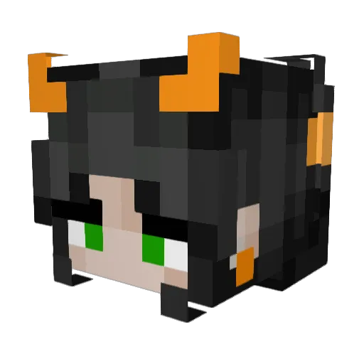 SupremeWeeb Minecraft avatar head, 3D render
