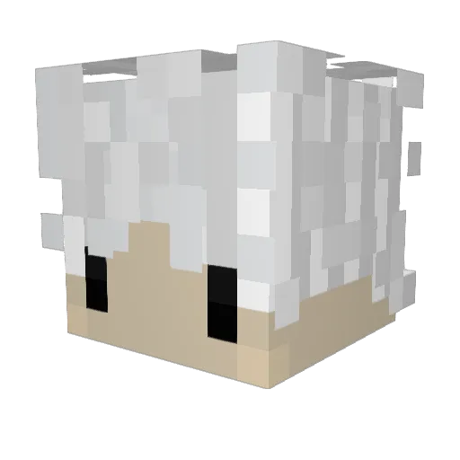 Supreme_209 Minecraft avatar head, 3D render