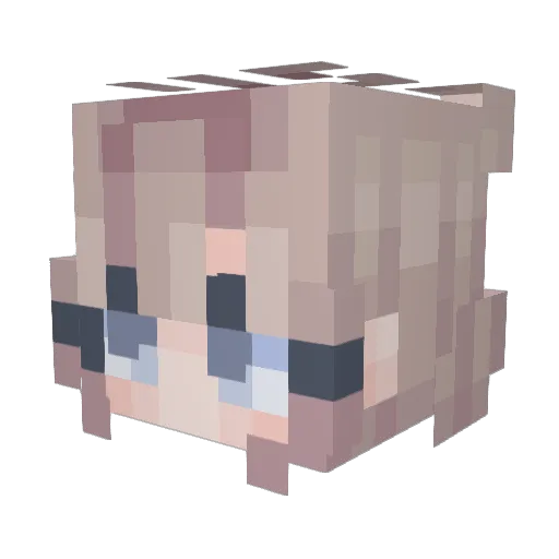 Supreme_Scooter Minecraft avatar head, 3D render