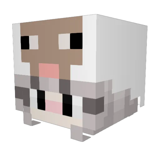 Supremerafi04 Minecraft avatar head, 3D render