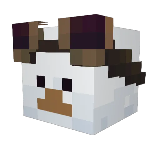 Suprimee Minecraft avatar head, 3D render