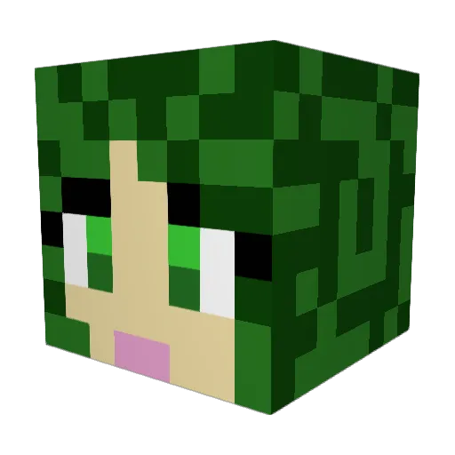Supsukka94 Minecraft avatar head, 3D render