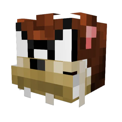 Suptaz Minecraft avatar head, 3D render