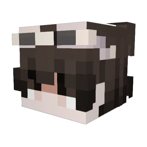 Minecraft-Avatar von Supwrah: Kopf als 3D-Render