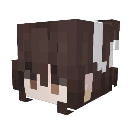 Supyy Minecraft avatar head, 3D render