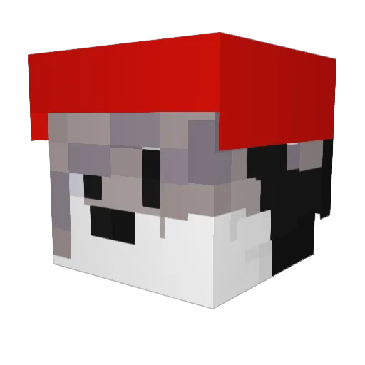 Sur1ze Minecraft avatar head, 3D render