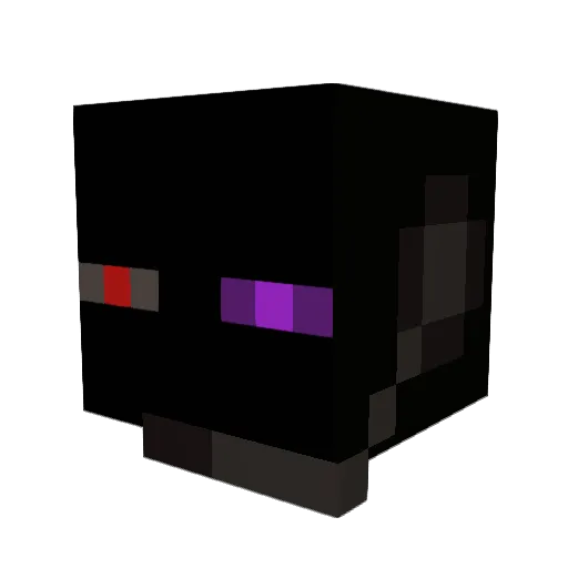 Sur5orGuy Minecraft avatar head, 3D render