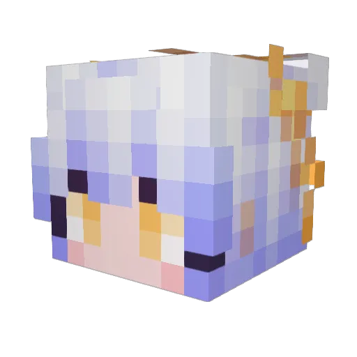 Sur_sheng Minecraft avatar head, 3D render
