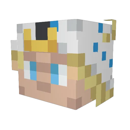 SurdNumber Minecraft avatar head, 3D render