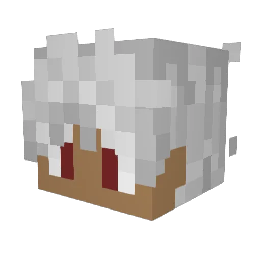 Surf54674 Minecraft avatar head, 3D render