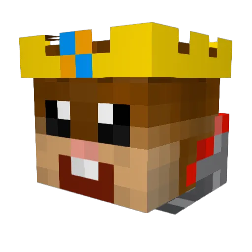 SurfHockey73 Minecraft avatar head, 3D render