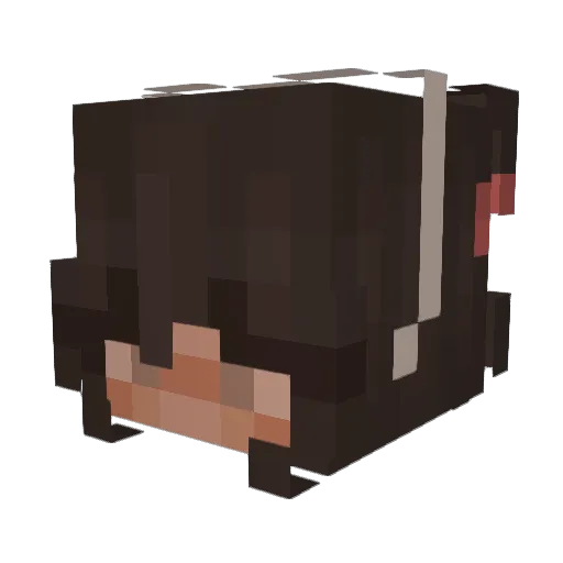 Surfacinq Minecraft avatar head, 3D render