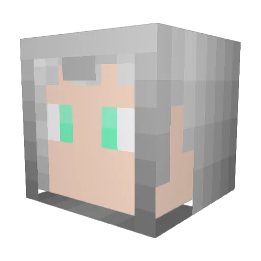 Surfal666 Minecraft avatar head, 3D render