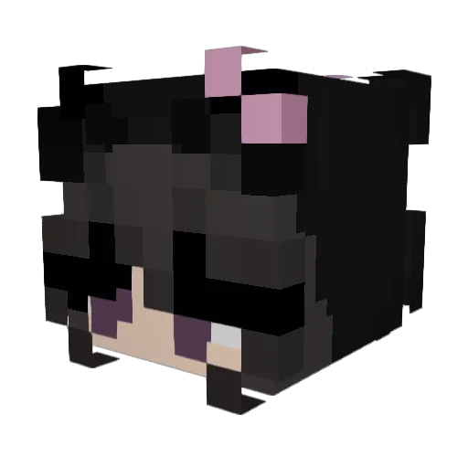 SurferGirl0427 Minecraft avatar head, 3D render