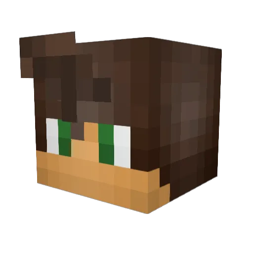 Surferboy800 Minecraft avatar head, 3D render