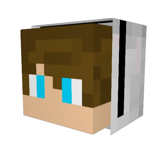 Surfic1004 Minecraft avatar head, 3D render