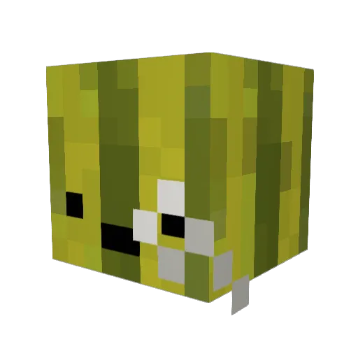 SurfinMelon Minecraft avatar head, 3D render
