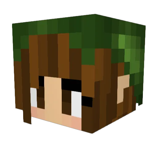 SurfingGoldfish Minecraft avatar head, 3D render
