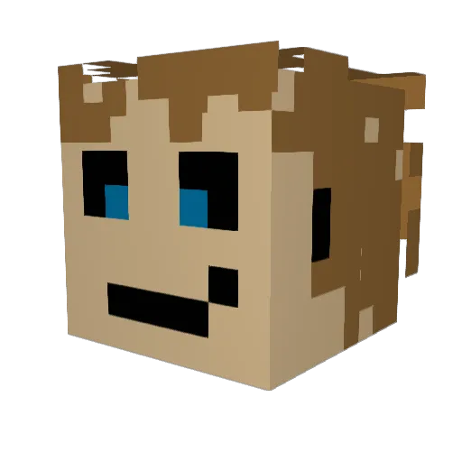 SurfingRemi Minecraft avatar head, 3D render
