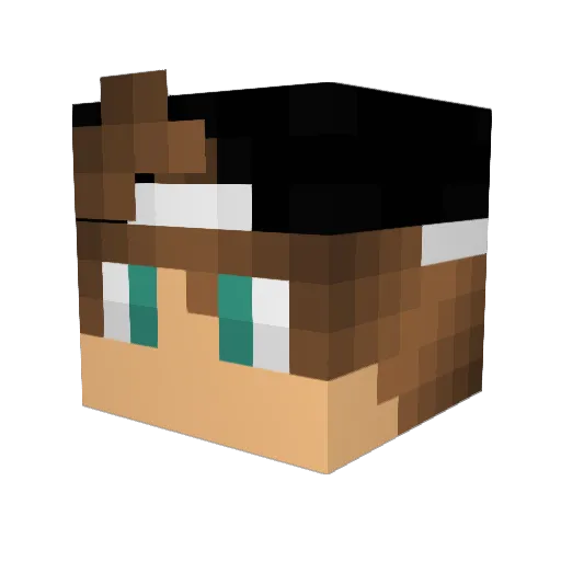 Surfinqq Minecraft avatar head, 3D render