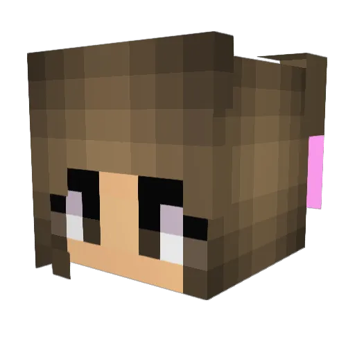 Surfsup229 Minecraft avatar head, 3D render