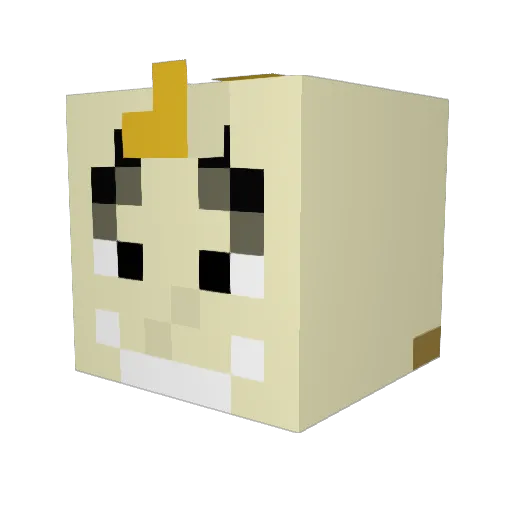 SurfsupBRO31 Minecraft avatar head, 3D render