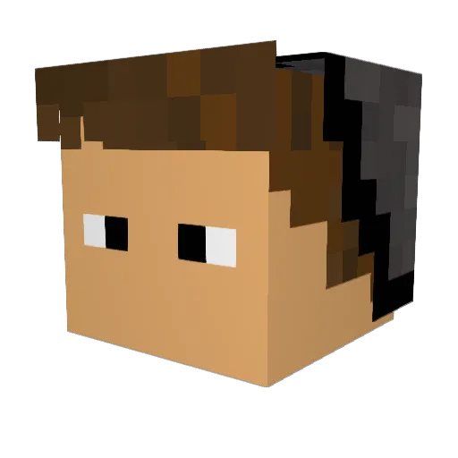 Surfy4790 Minecraft avatar head, 3D render