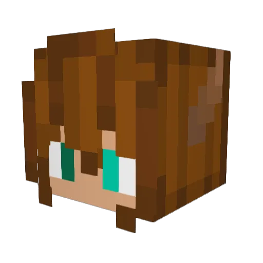 Surgical3200 Minecraft avatar head, 3D render