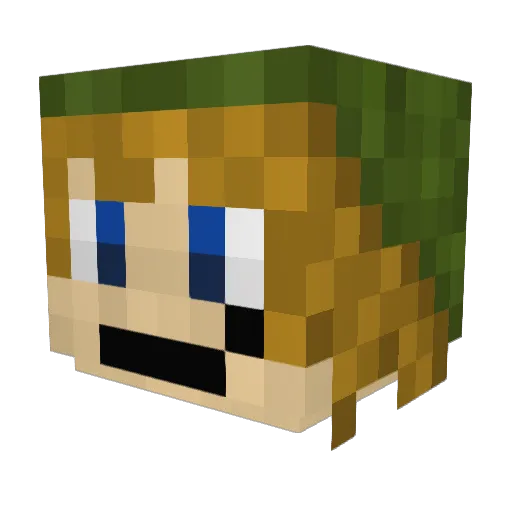 Surgy_ Minecraft avatar head, 3D render
