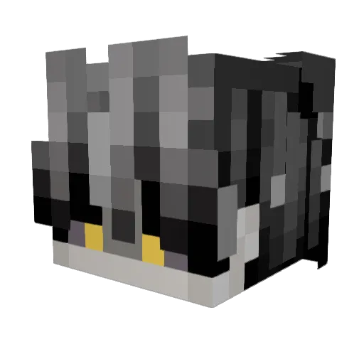 Suri22224 Minecraft avatar head, 3D render