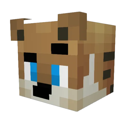 Surii4 Minecraft avatar head, 3D render