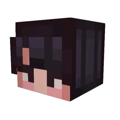 Surikatka_ Minecraft avatar head, 3D render
