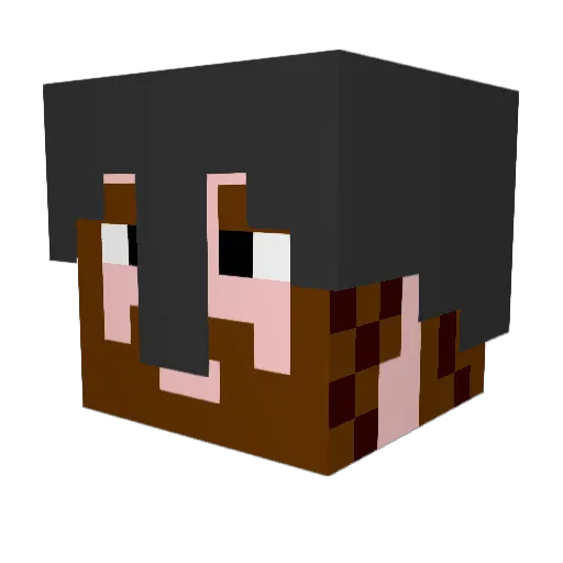 Surley Minecraft avatar head, 3D render