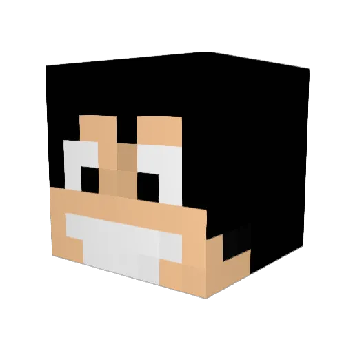 Surlsss Minecraft avatar head, 3D render