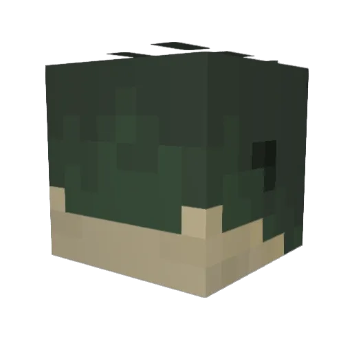 Surobaya Minecraft avatar head, 3D render
