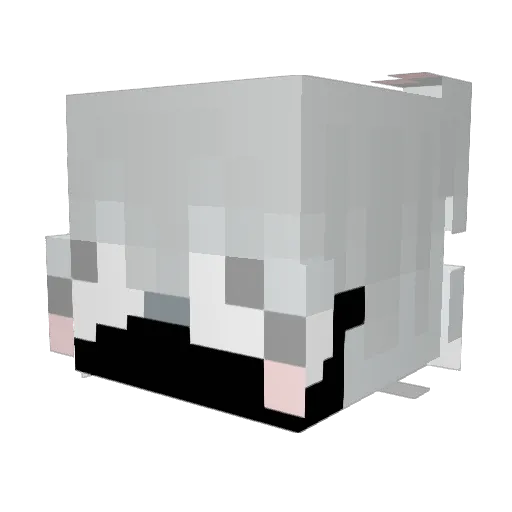 Surovvvw Minecraft avatar head, 3D render