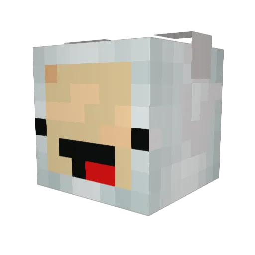 Surpedie Minecraft avatar head, 3D render