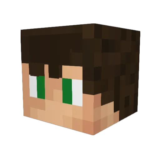 Surplus_DY Minecraft avatar head, 3D render