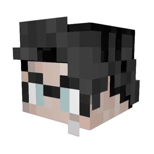 SurpriseBox Minecraft avatar head, 3D render